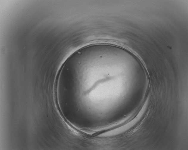 X0000058811533200510071715