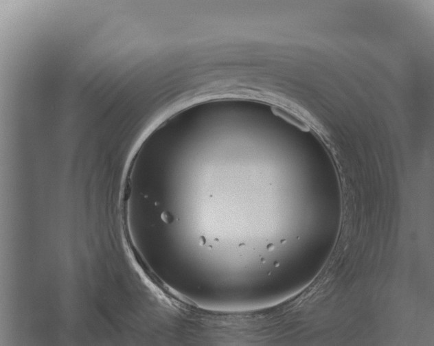 X0000058811536200510071715