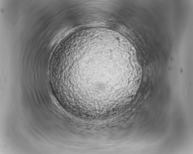 X0000058810002200510171546