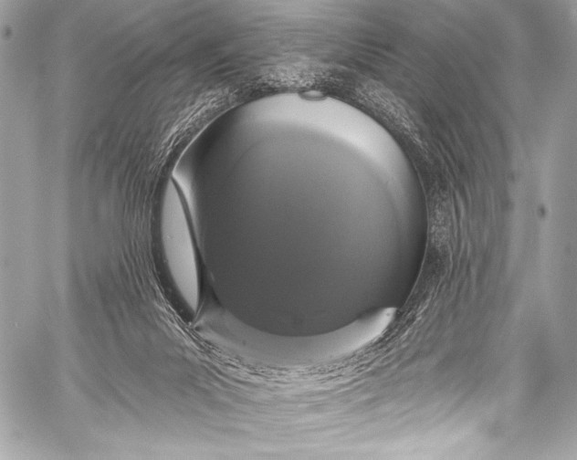 X0000058810023200510171546