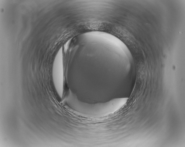 X0000058810031200510171546