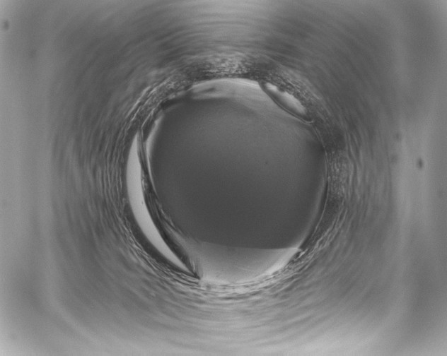X0000058810035200510171546