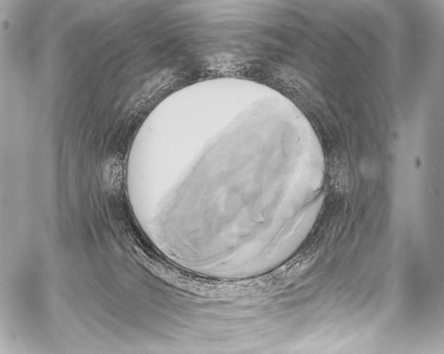 X0000058810036200510171546