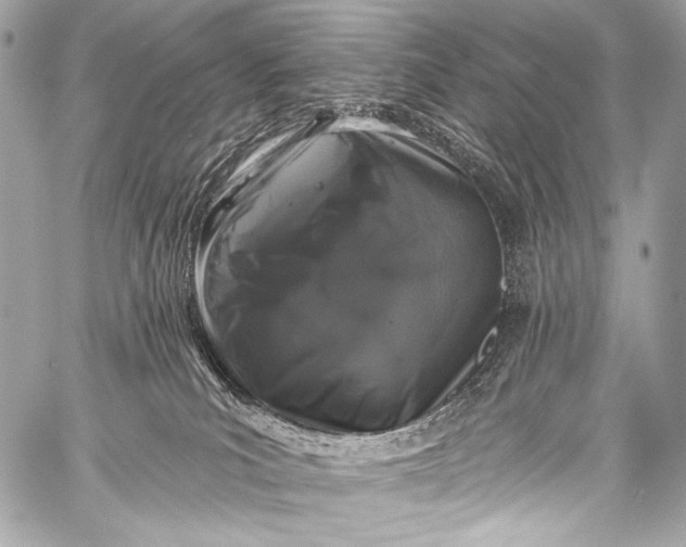 X0000058810039200510171545