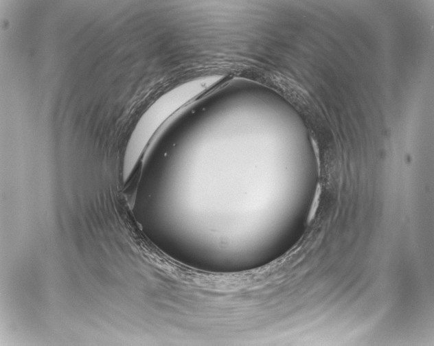 X0000058810041200510171545