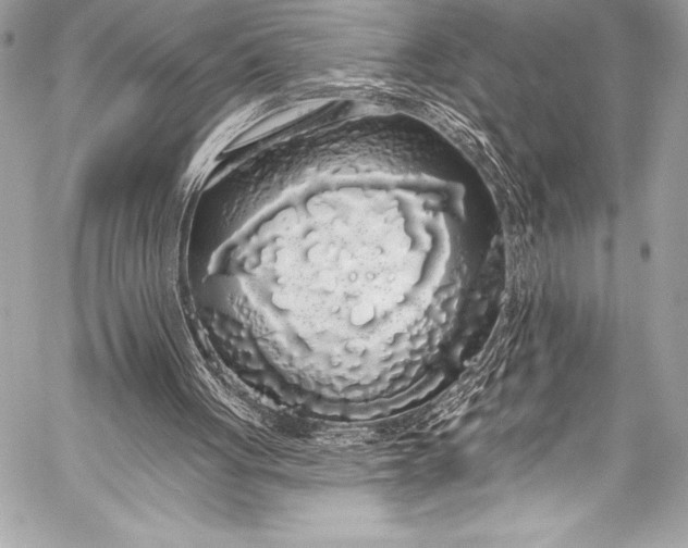 X0000058810051200510171545