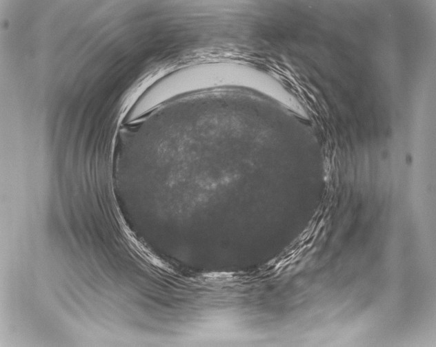 X0000058810052200510171545