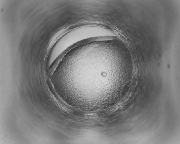 X0000058810053200510171545