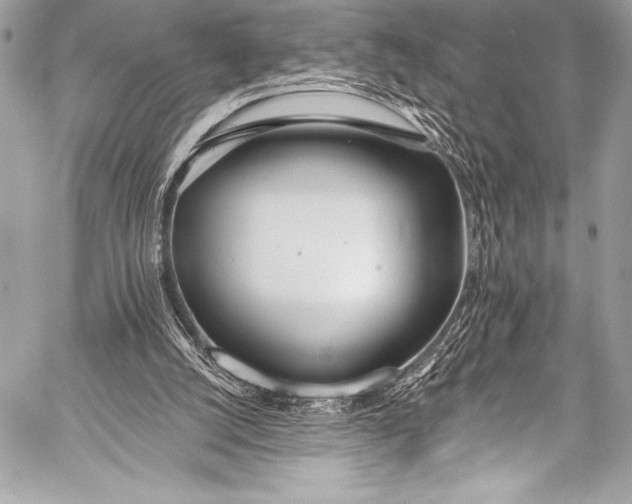 X0000058810056200510171545