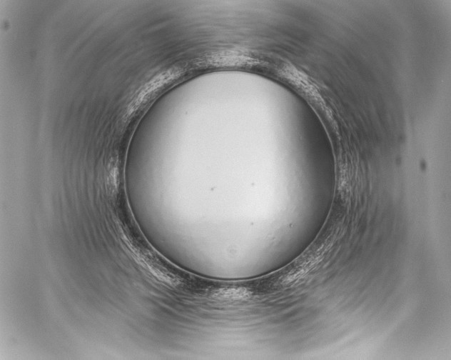X0000058810063200510171545