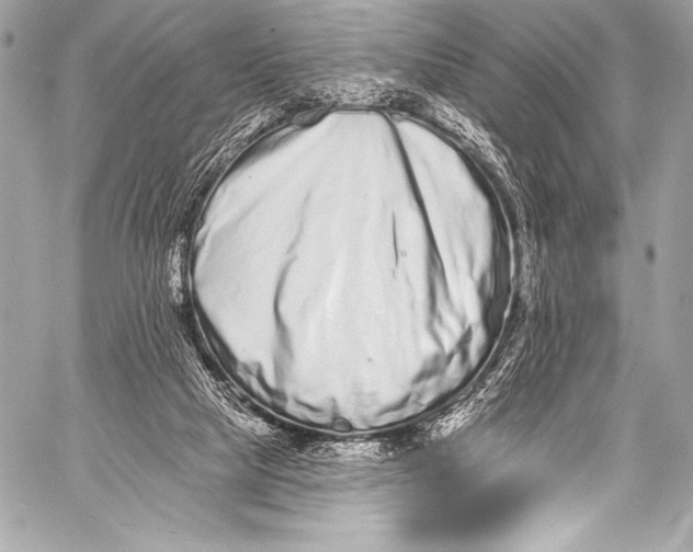 X0000058810065200510171545