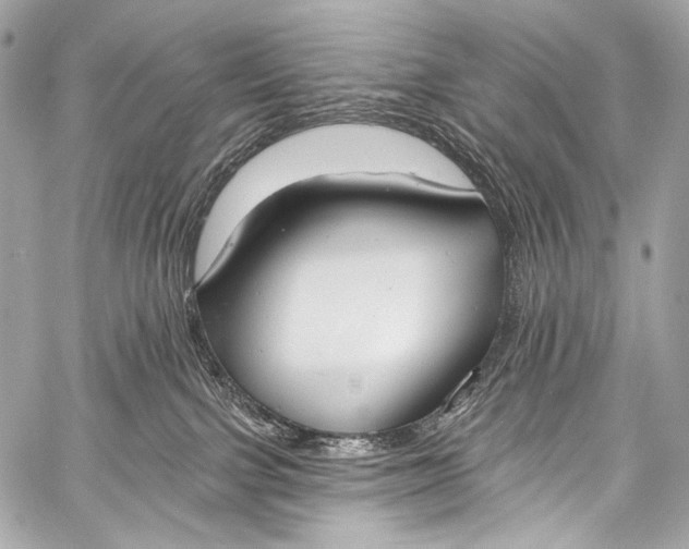 X0000058810091200510171545