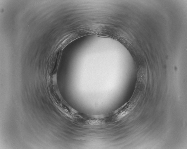 X0000058810092200510171545