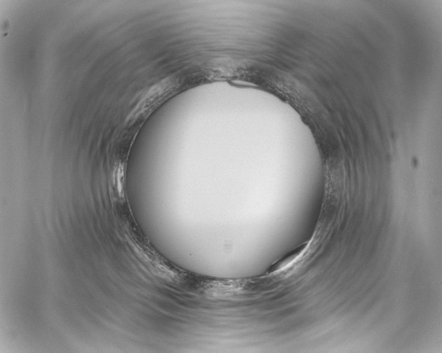 X0000058810094200510171545
