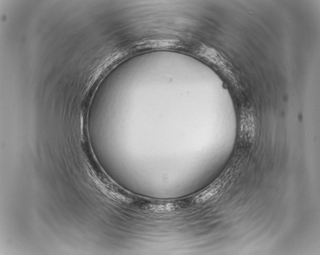 X0000058810110200510171544