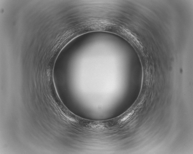 X0000058810113200510171544