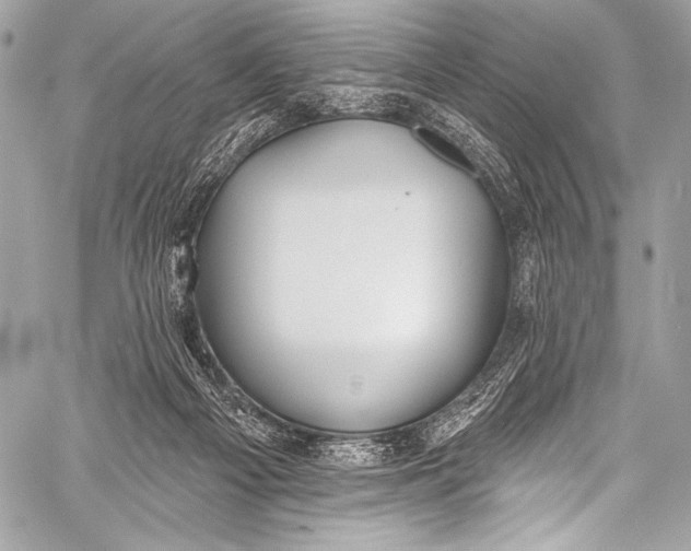 X0000058810121200510171544