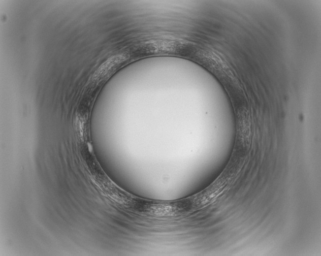X0000058810123200510171544
