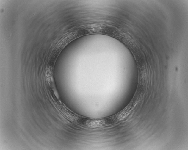 X0000058810129200510171544