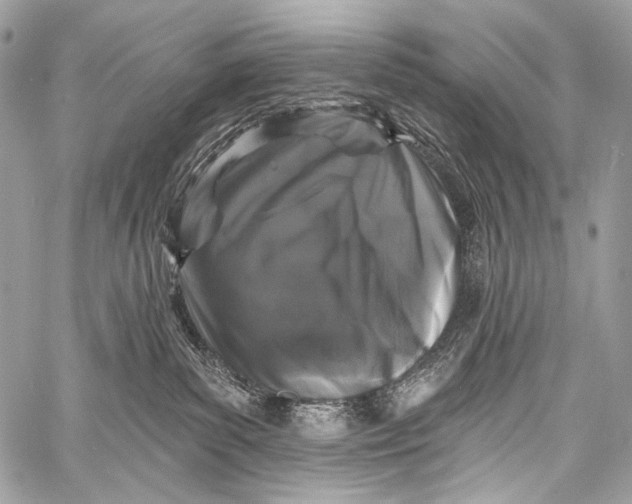 X0000058810139200510171544