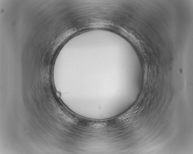 X0000058810155200510171543