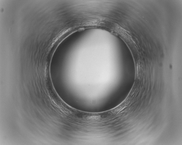 X0000058810156200510171543