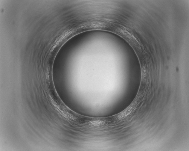 X0000058810158200510171543