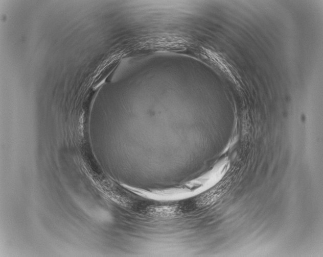 X0000058810163200510171543