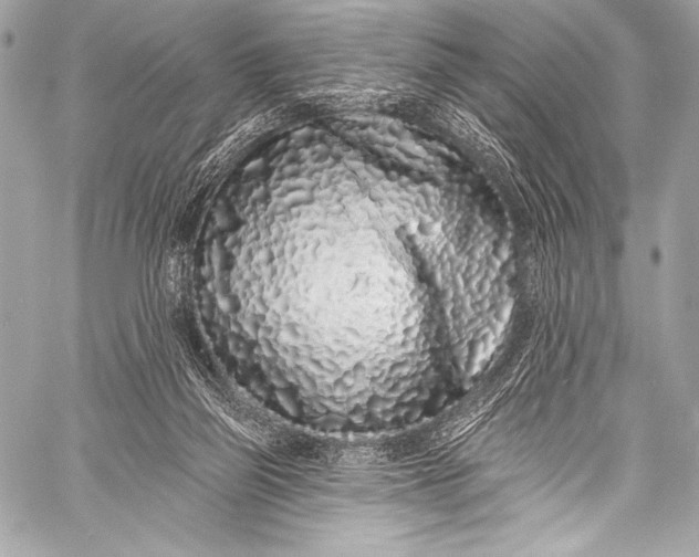 X0000058810165200510171543