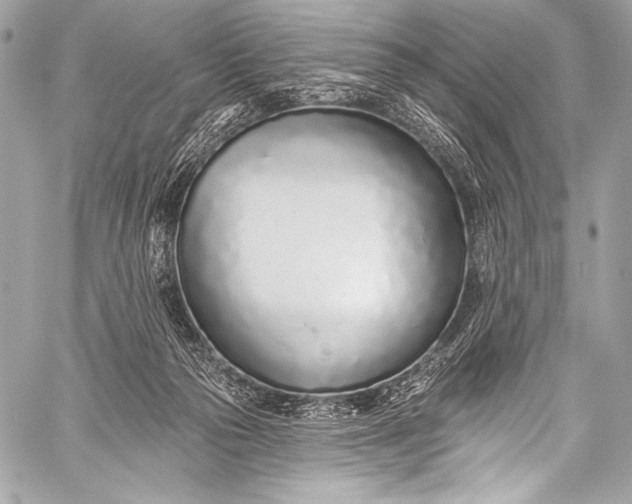 X0000058810169200510171543