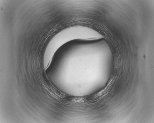 X0000058810175200510171543
