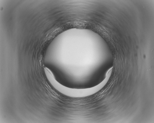 X0000058810185200510171544