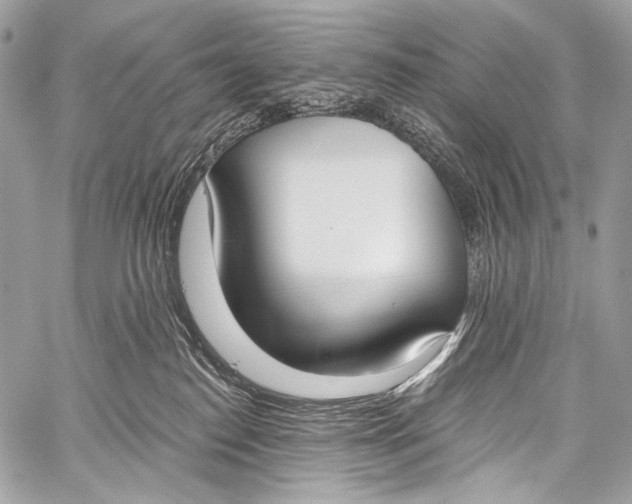 X0000058810186200510171544