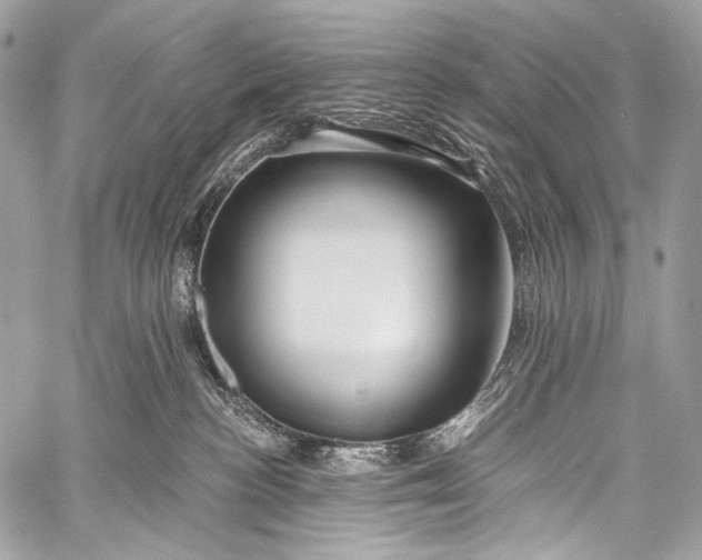 X0000058810188200510171544
