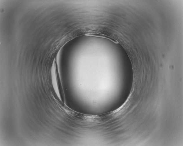 X0000058810192200510171544