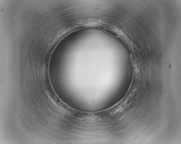 X0000058810201200510171543