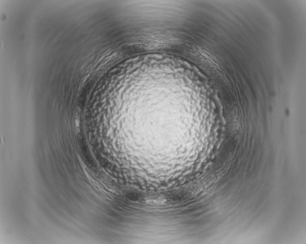 X0000058810214200510171543