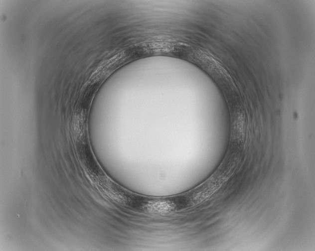 X0000058810218200510171543
