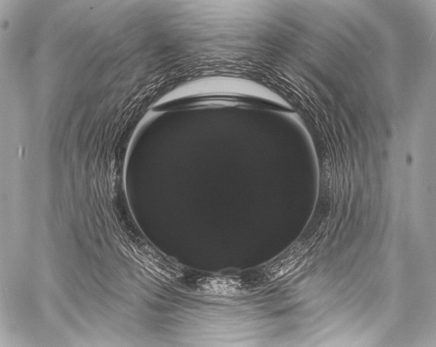 X0000058810223200510171542