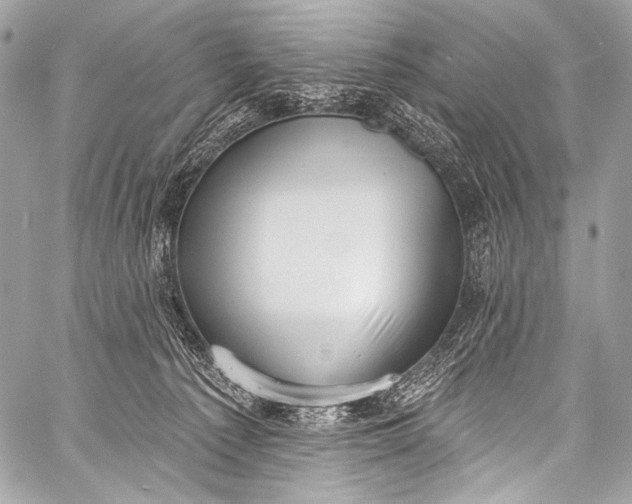 X0000058810225200510171542