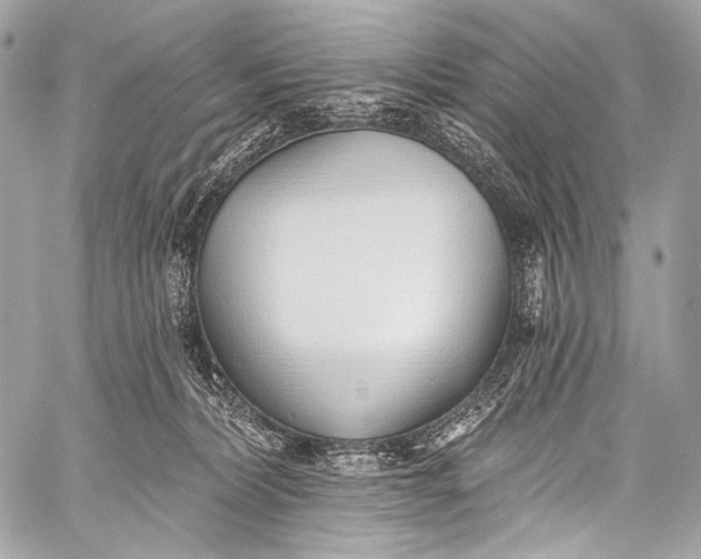 X0000058810228200510171542
