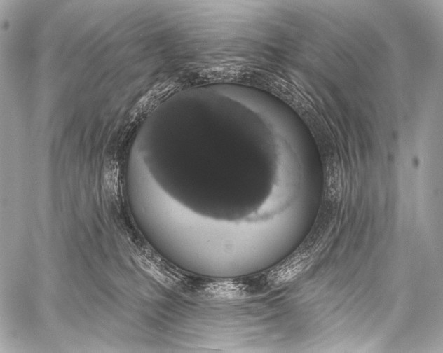 X0000058810231200510171542
