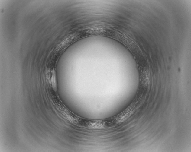 X0000058810232200510171542