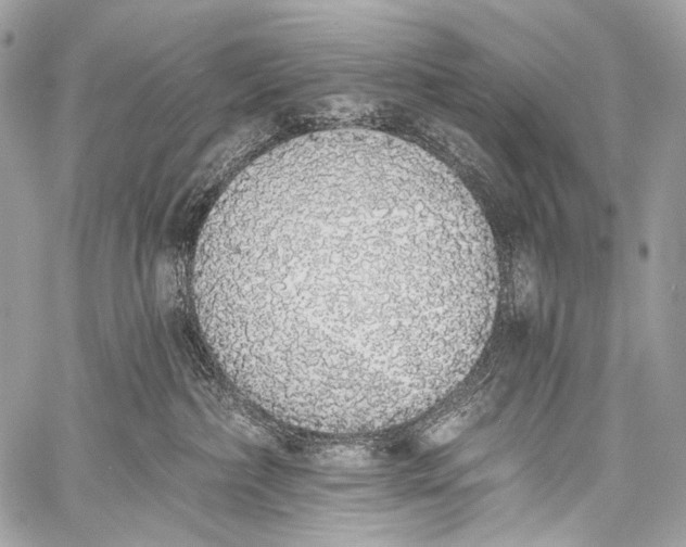 X0000058810236200510171542