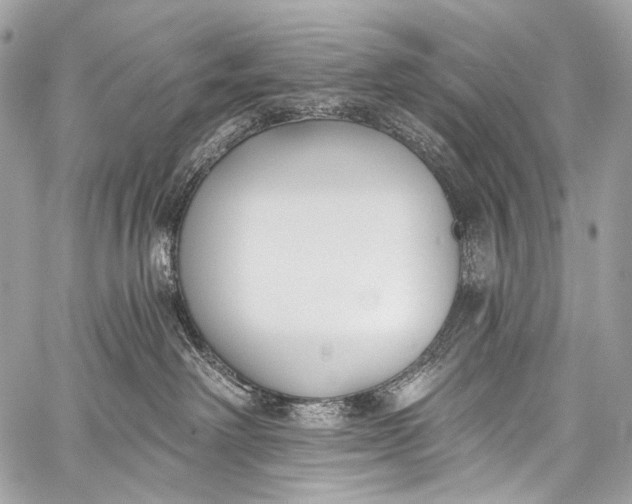 X0000058810238200510171542