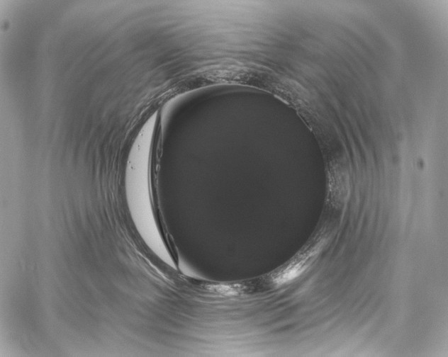 X0000058810239200510171542