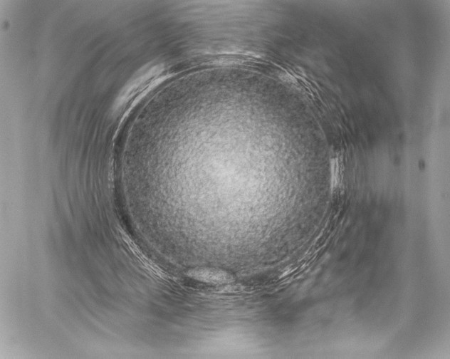 X0000058810243200510171541