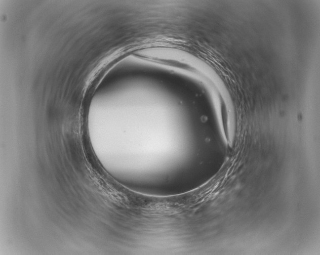 X0000058810244200510171541
