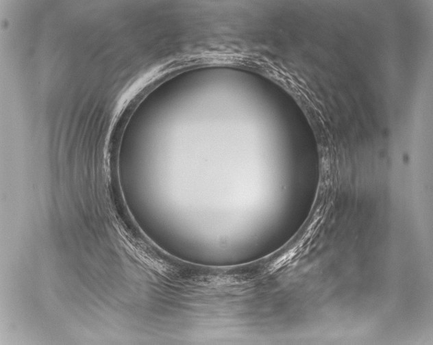 X0000058810246200510171541
