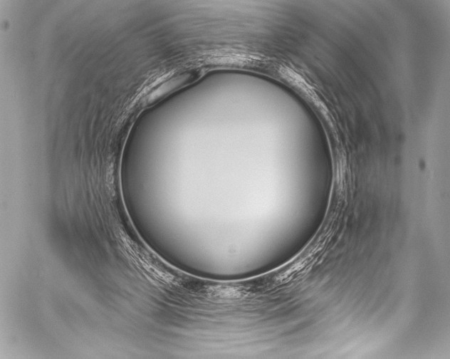 X0000058810249200510171541